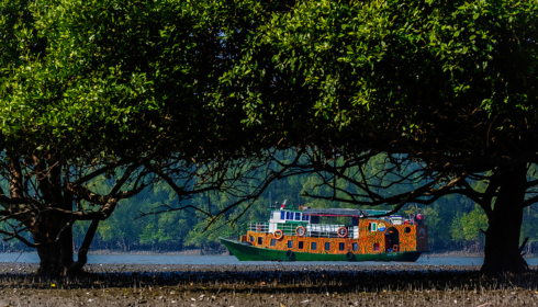 Sundarban Travels: Explore the Untamed Beauty of the Mangrove Forests